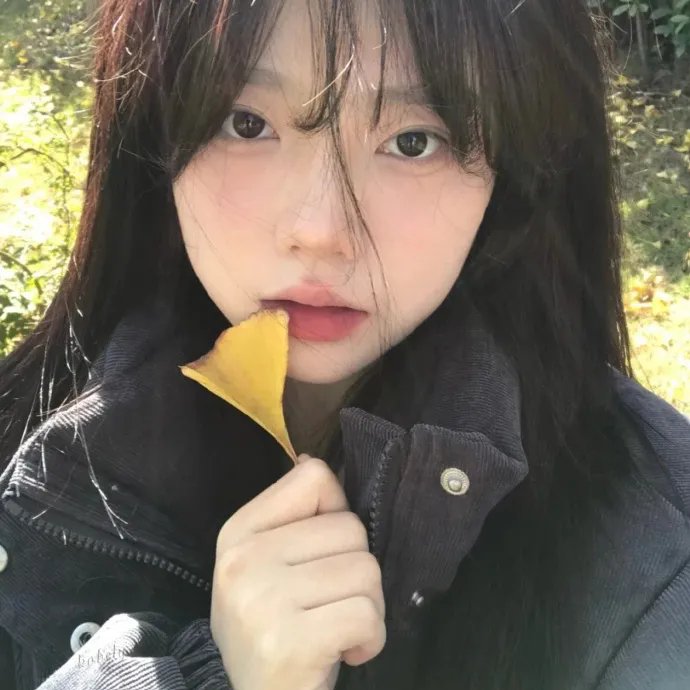 羊崽